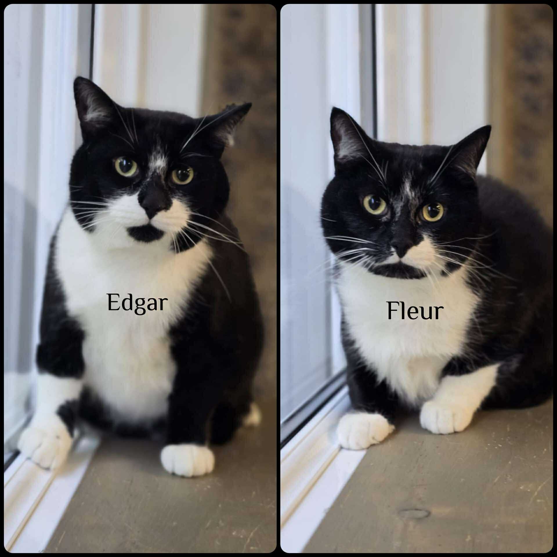 Edgar & Fleur